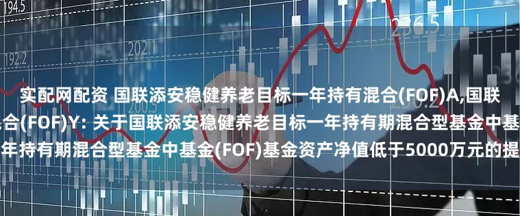 实配网配资 国联添安稳健养老目标一年持有混合(FOF)A,国联添安稳健养老目标一年持有混合(FOF)Y: 关于国联添安稳健养老目标一年持有期混合型基金中基金(FOF)基金资产净值低于5000万元的提示性公告