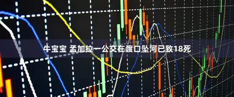 牛宝宝 孟加拉一公交在渡口坠河已致18死