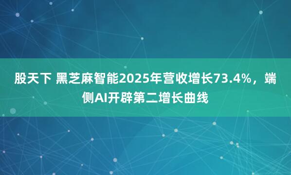股天下 黑芝麻智能2025年营收增长73.4%，端侧AI开辟第二增长曲线