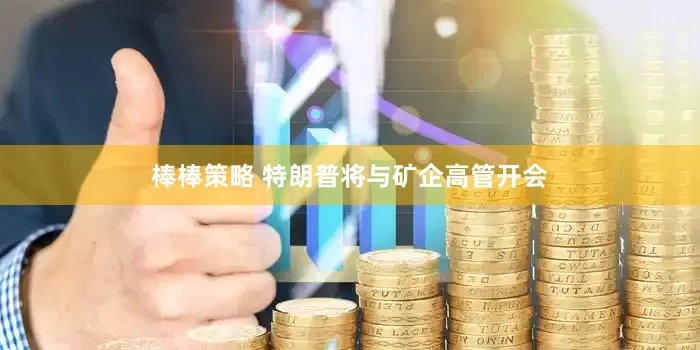 棒棒策略 特朗普将与矿企高管开会